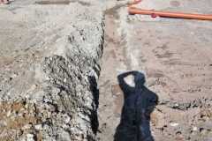 IMG-20200723-WA0006