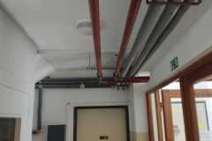 IMG-20240712-WA0019