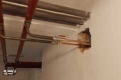 IMG-20240712-WA0023
