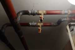 IMG-20240712-WA0038