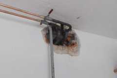 IMG-20240712-WA0047