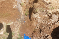 IMG-20250529-WA0045