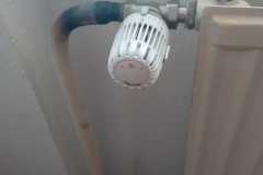 IMG-20230515-WA0016