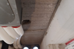 Obrazek-WhatsApp-2025-11-12-v-14.06.36_f97ed1cc