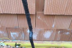 IMG-20250304-WA0028