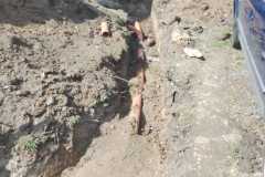 IMG-20240712-WA0064