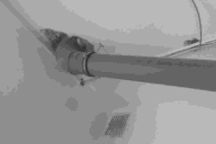 WhatsApp-Image-2026-02-25-at-10.56.36-2