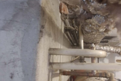 WhatsApp-Image-2026-01-30-at-18.47.11-2