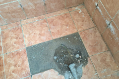 WhatsApp-Image-2026-02-20-at-11.20.10-1